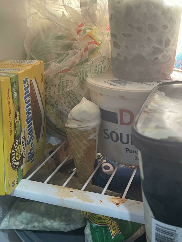 La forma en que mi hermana guarda su helado para más tarde