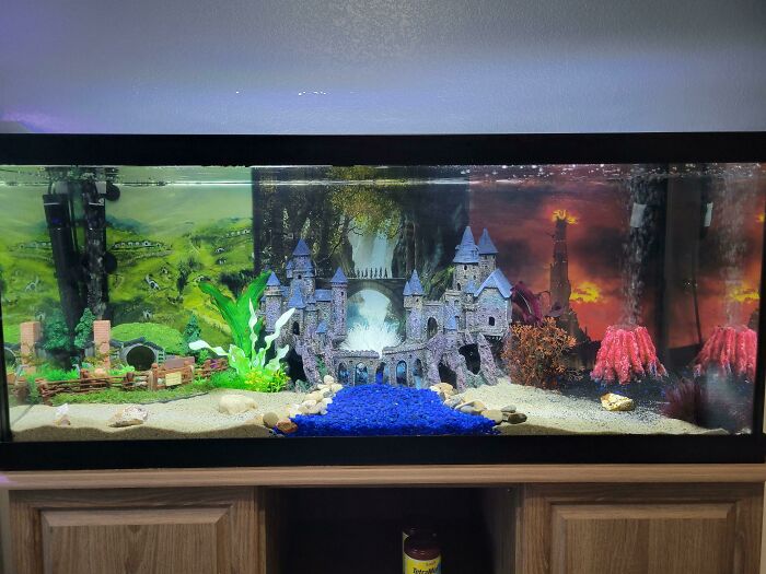 Lord of The Rings themed aquarium