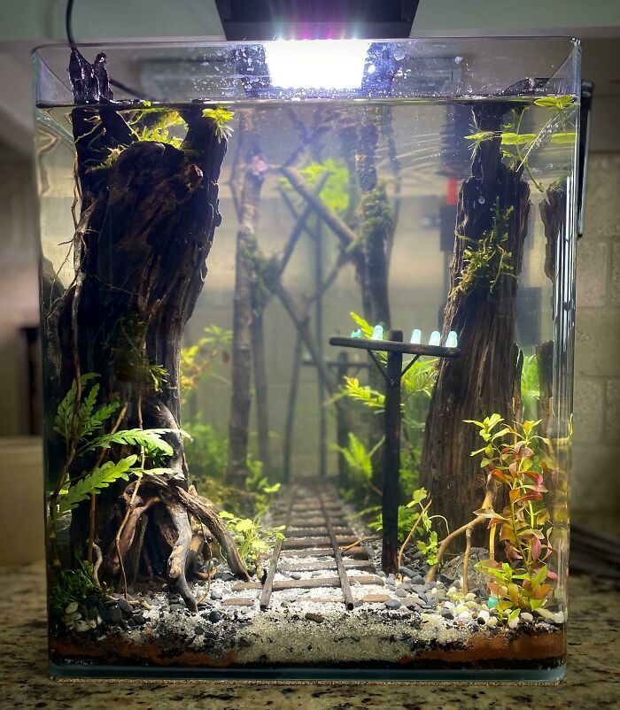 Abandoned railroad at the bottom of aquarium