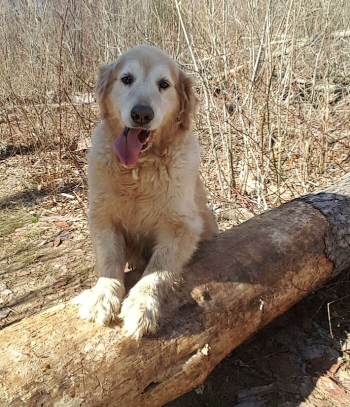 Starting To Get Too Old To Hop Up, But She's Still Cute As Ever