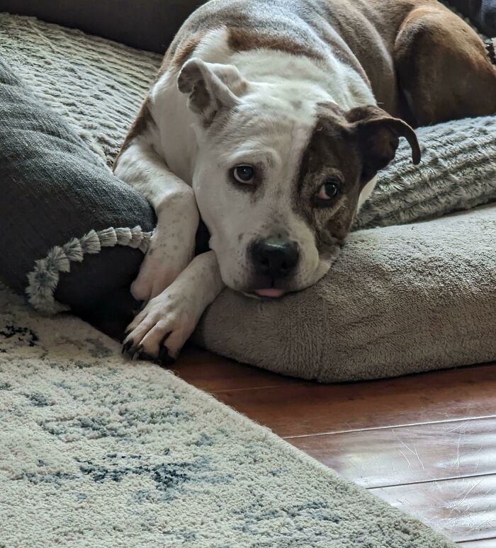 13 Year Old Penelope When She Hopes You'll Share Your McDonald's