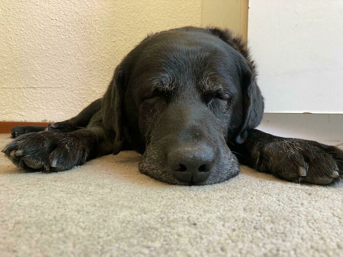 A Very Senior Gentleman