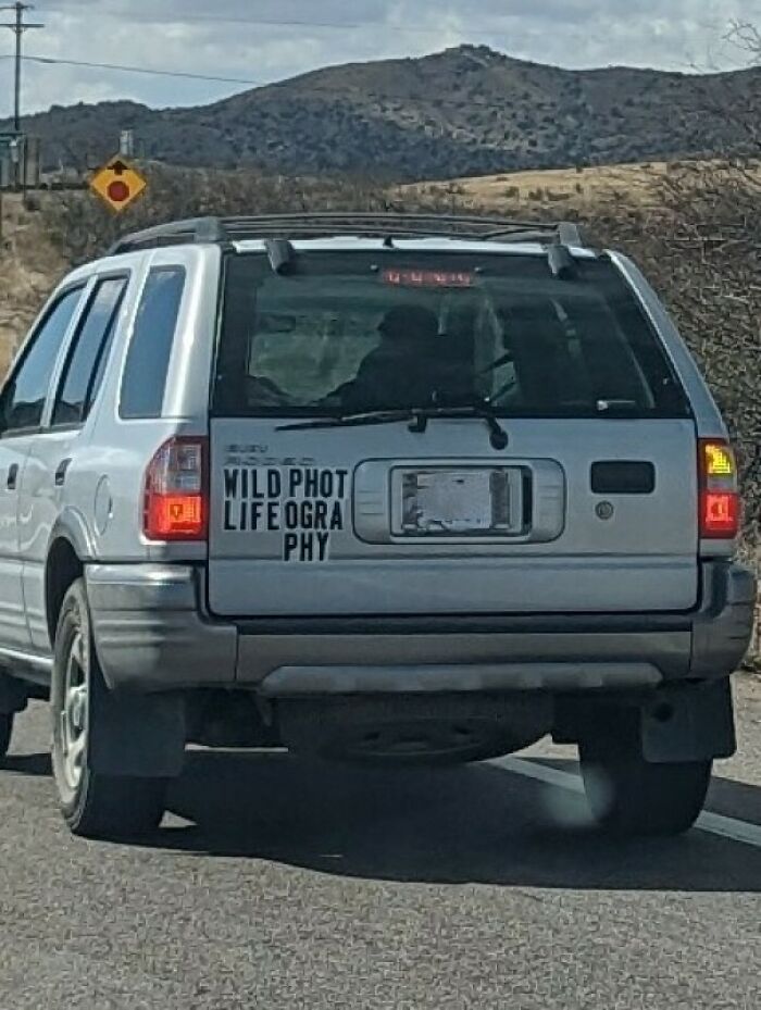 Wildphot Lifeography