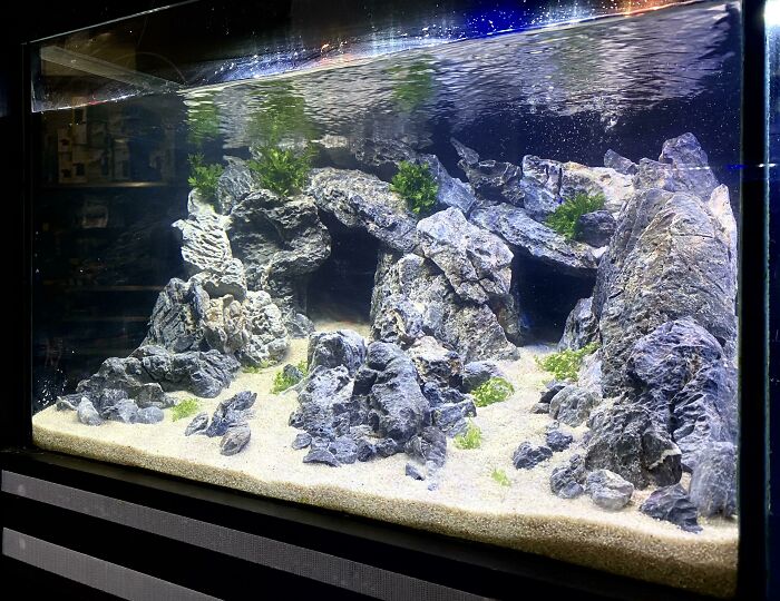 Caves Scape in the aquarium