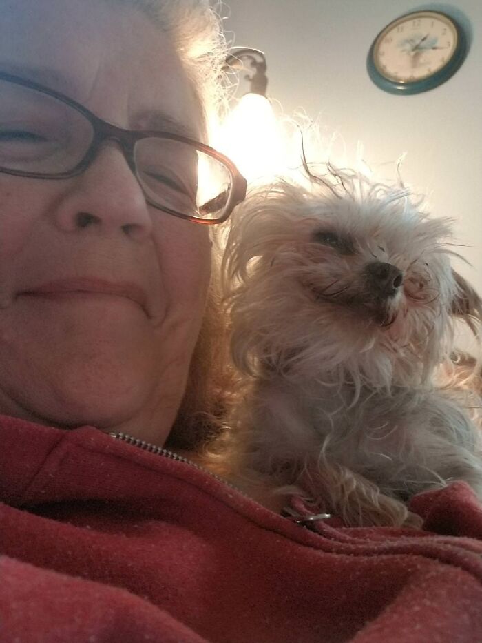 Thought My Dog Would Be Depressed While My Girlfriend's Mom Watched Her For A Week Until She Sent This