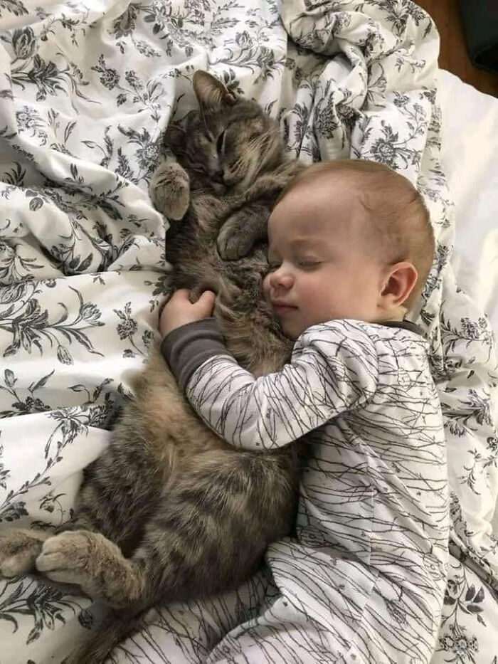 Nothing Like The Soothing Feel Of A Wonderful Furry Baby