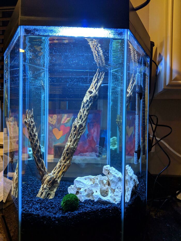 Rock and wooden stick in the aquarium 