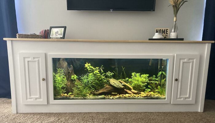 Aquarium in entertainment console