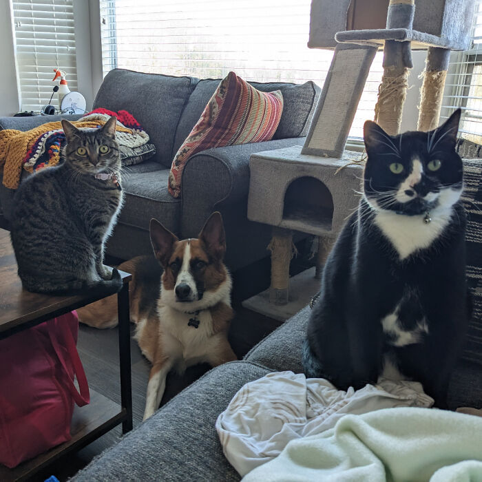 I'm Currently In The Early Stages Of Labor And I Think They All Know It