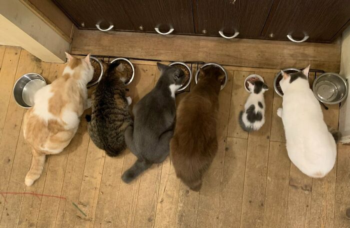 He Wouldn't Eat When Fed Elsewhere, But Started Eating When Placed Among The Grownups