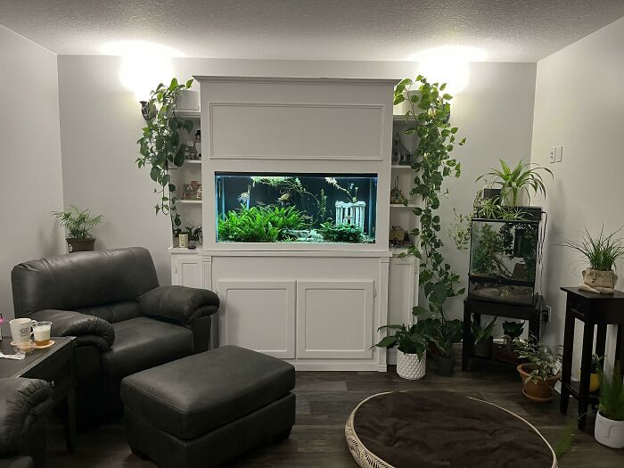 Aquarium installed inside the furniture 