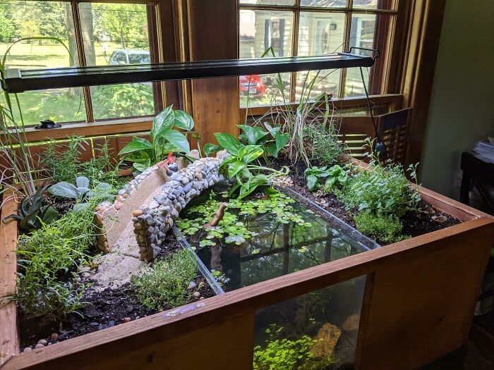 Big aquarium with sections and bridge 