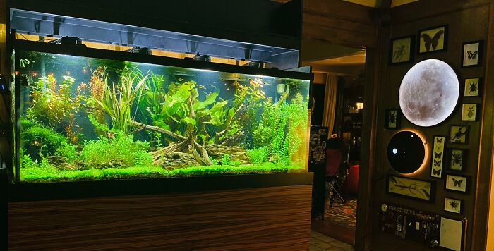 My 210 High Tech After A Neurotic 4-Hour Maintenance Routine