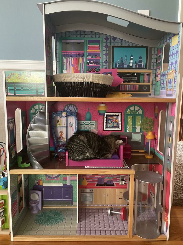 I Was Told To Post This Here. Taco’s Squatting In Barbie’s Bed