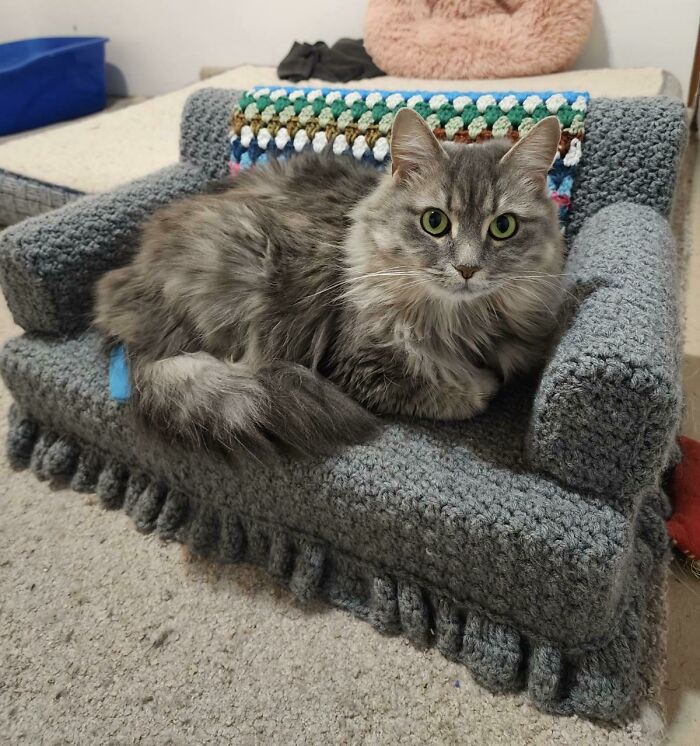 Finally A Place To Show Off Laurie’s Couch