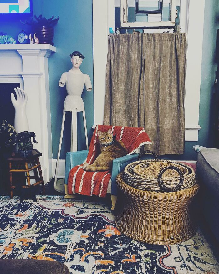 I Found This At An Antique Shop. It’s The Perfect Size For Major