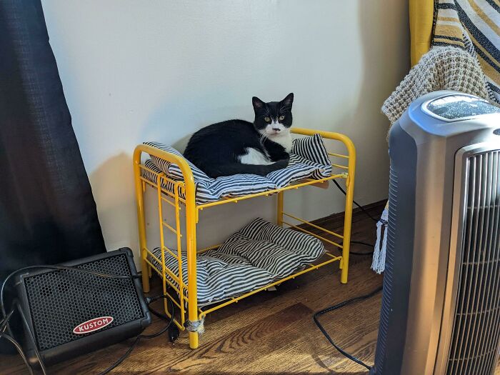 Franny Is A Top Bunker