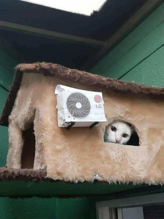 Does Anyone Know How To Repair Air Conditioning?...we Are In Trouble