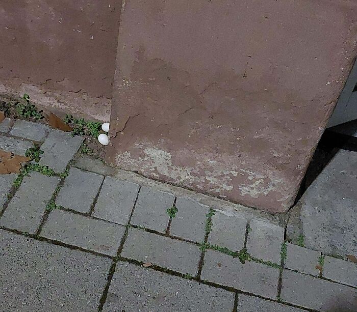 Next To My Front Door