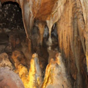 tiffanysmith_3 avatar