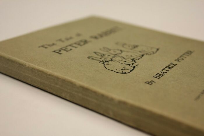 The Tale Of Peter Rabbit book 