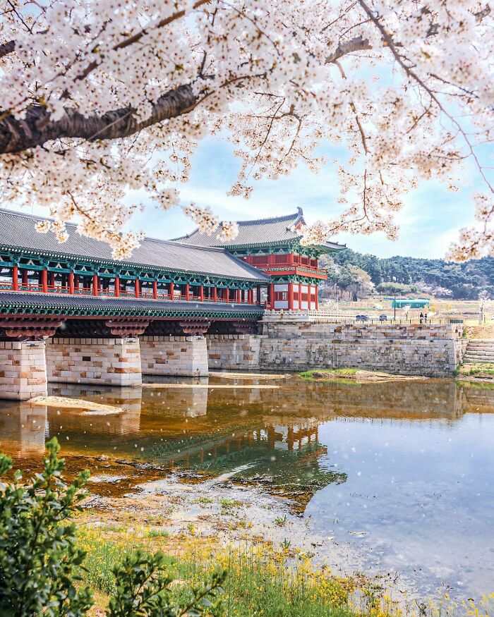 Woljeong Bridge, A Wooden Bridge Originally Built In The 8th Century That Was Restored Recently In The Historic City Of Gyeongju, North Gyeongsang Province, South Korea