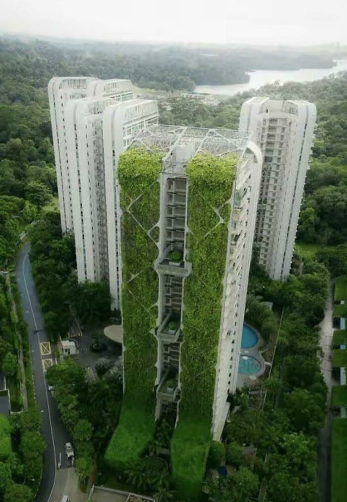 Tree House, Singapore