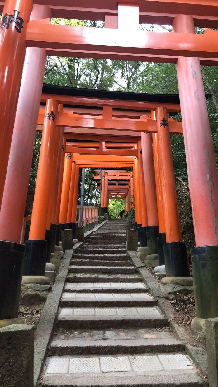 So Japan Is A Cool Place