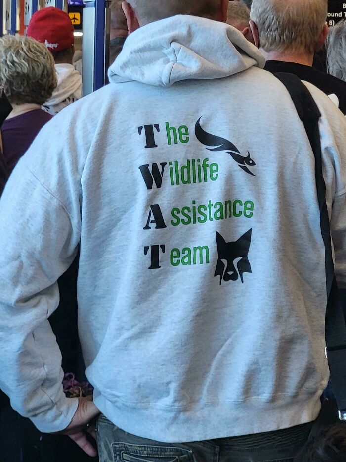 I Asked If It Was Ironic Or A Bad Design Choice - Was Told I Needed To Think About It Myself