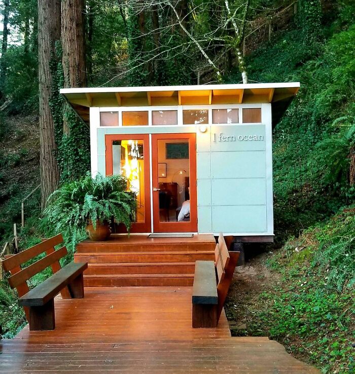 Tiny blue tiny house design with wooden stairs and benches surrounded by lush green trees in a peaceful forest setting.