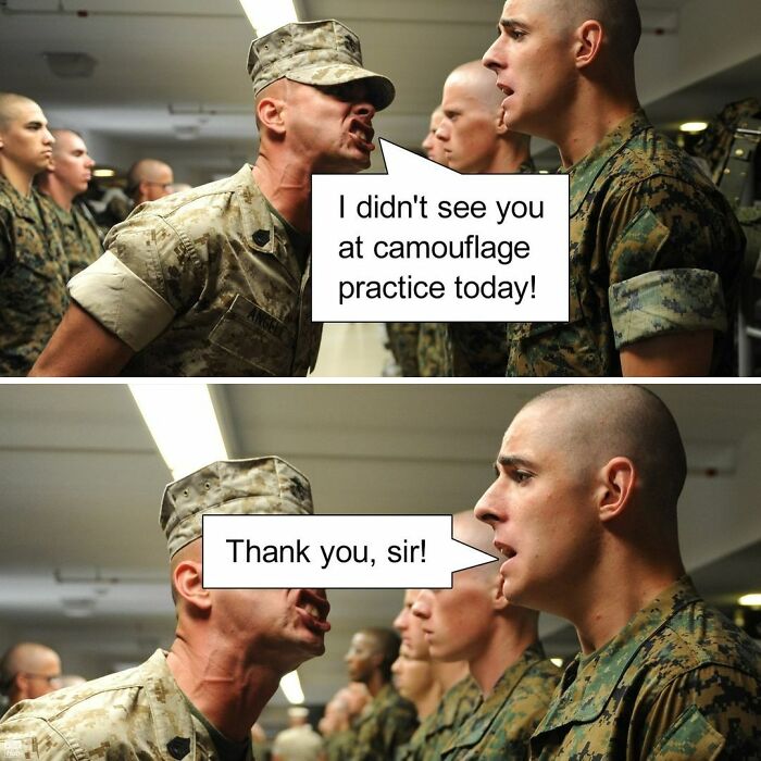 Funny-Puns-Dad-Jokes-Punhub