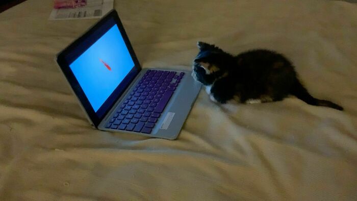 Newest Member Of The Family: Celeste