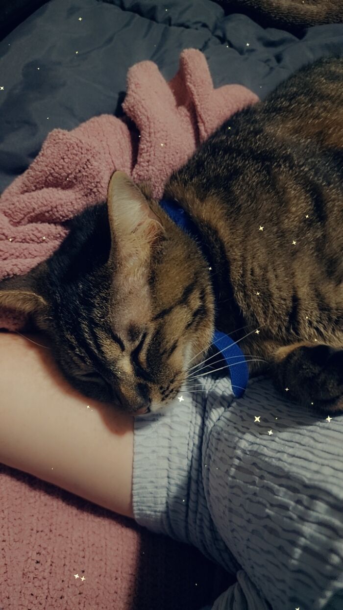 Just Adopted This Boy On Saturday. Guess I Can't Go Back To Work Now. This Is Toast!