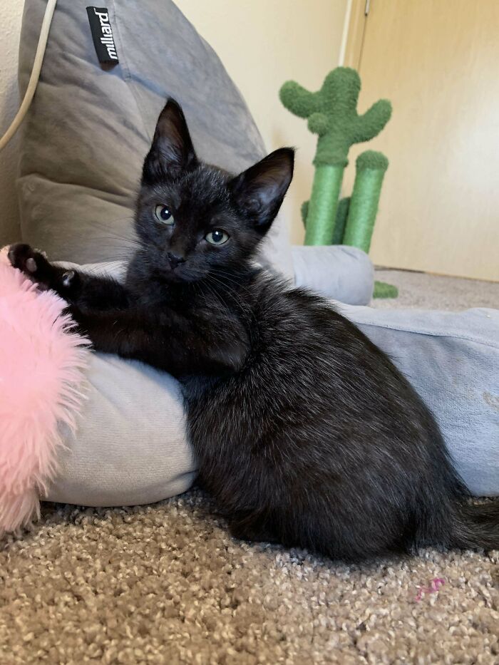 Mr. Squid Is Settling Into His New Home Nicely!