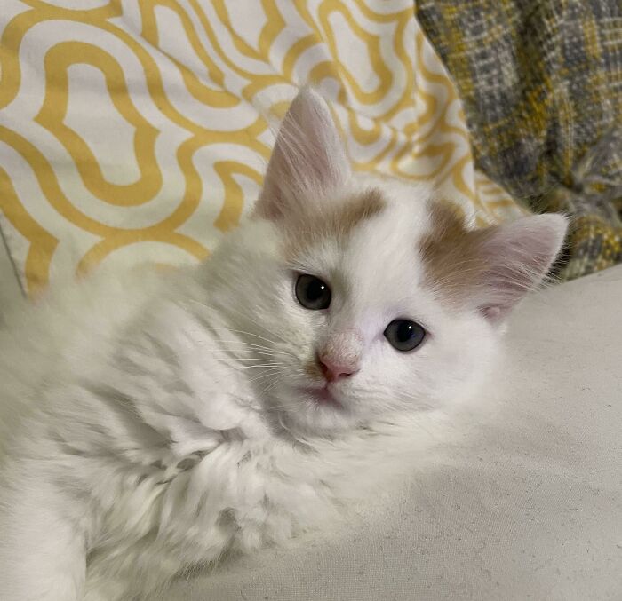 He’s Been A Member Of The Family For Almost 2 Weeks Now