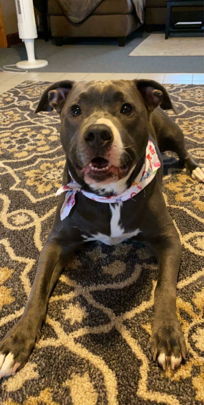 Newest Family Member 