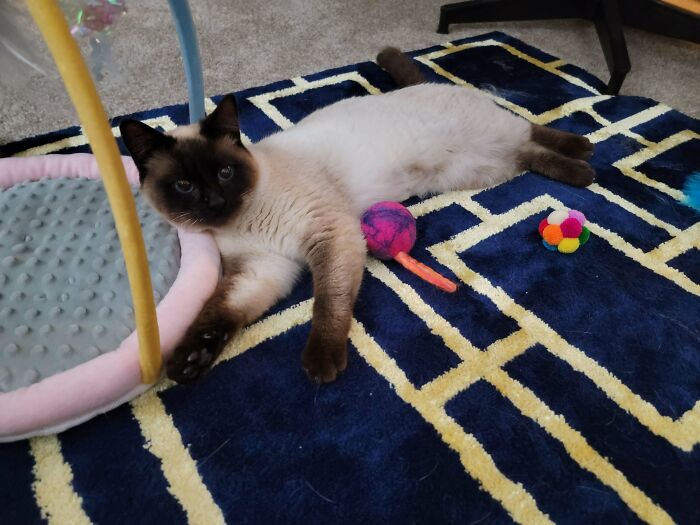 My Newly Rescued Baby. I Can't Believe Someone Tossed Her Away