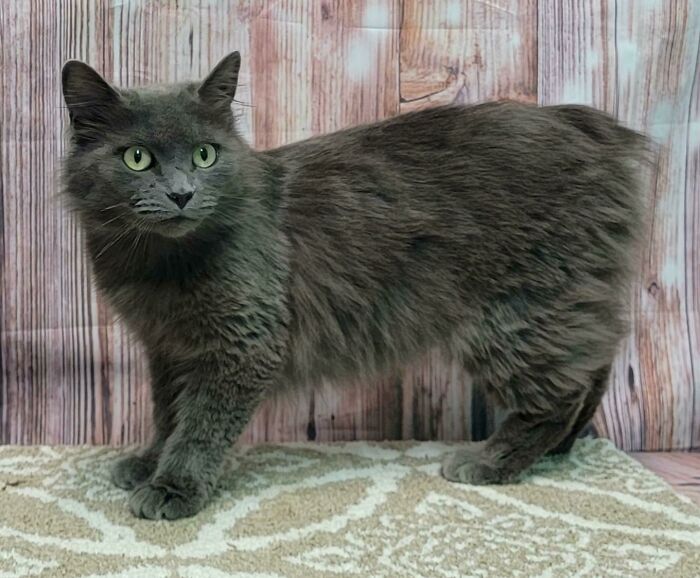 Adopted This Pretty Girl Today!