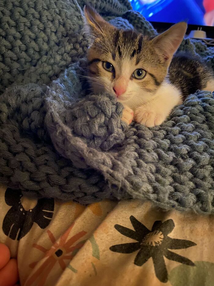 We Added A New Member To Our Family Today. Her Name Is Junie And She’s The Sweetest Girl. I Love Her So Much