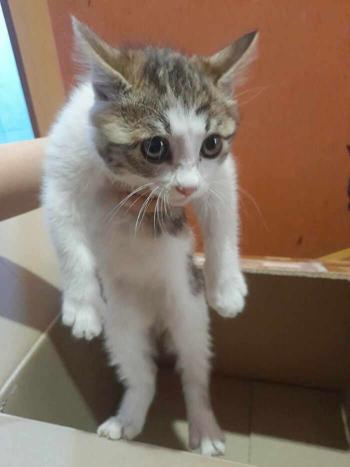 Found This Girl On The Stairs Of An Apartment Complex Today