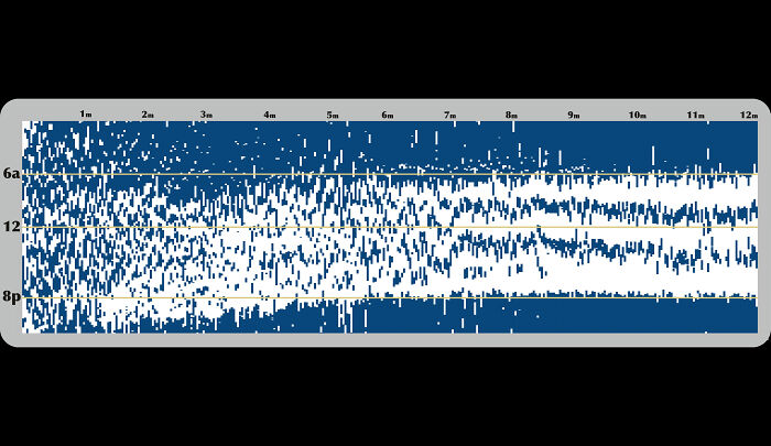 My Daughter's Complete First Year Of Sleep