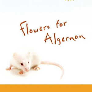 charliegordon avatar