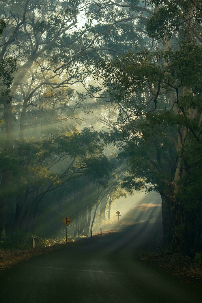 Just Found This Sub! Hope My Photo Here Suits It!