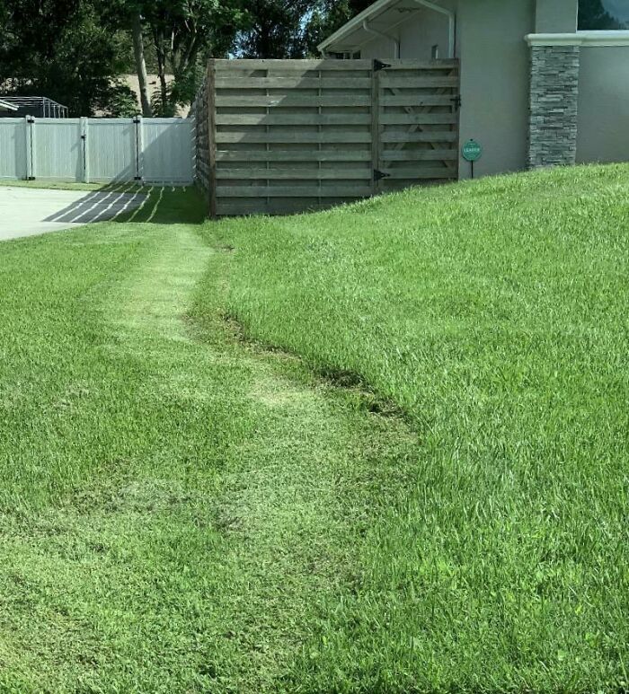 How My Next Door Neighbor Consistently Mows