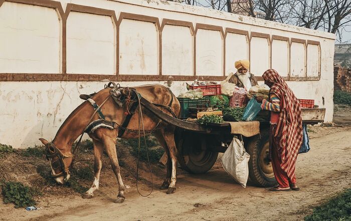 Mobile Vegetables Vendor