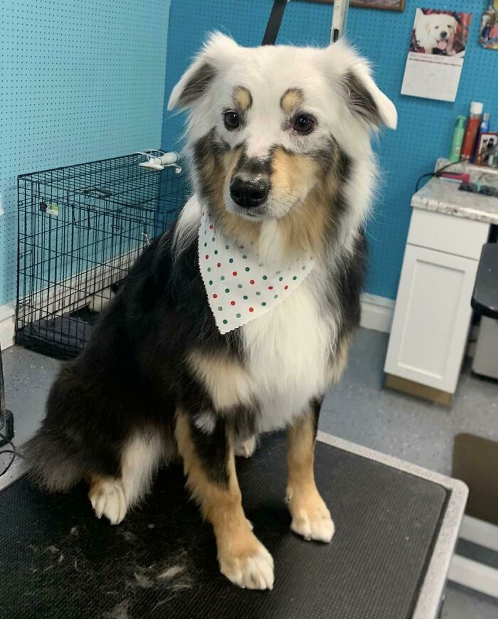 This Is Heidi. Heidi Has Vitiligo