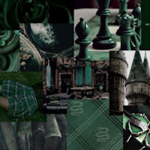 danielahipwell avatar