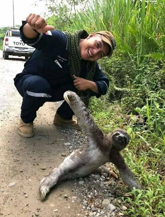 I Hope This Picture Will Brighten Your Day A Bit