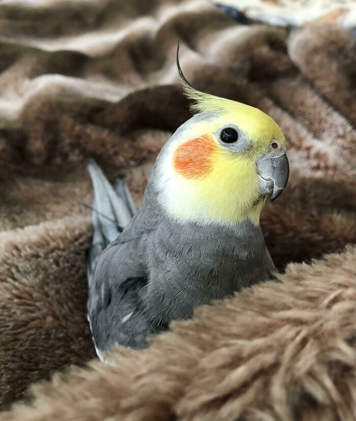 Pretty Handsome For His Late 20s