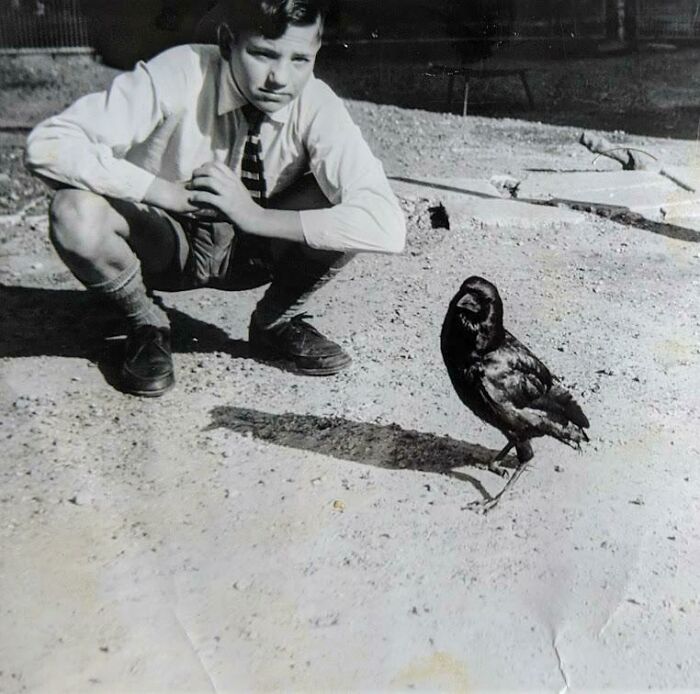 Kid and crow looking